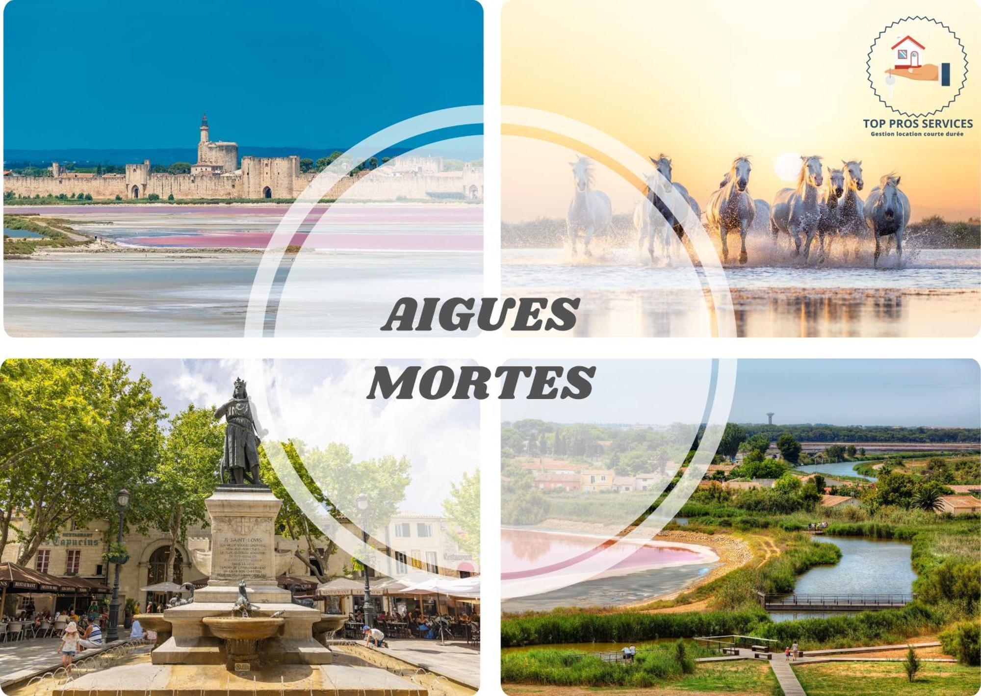 Les Marines Port 2 Min Plage Camargue- Top Pros Services Conciergerie La Grande Motte Mauguio Εξωτερικό φωτογραφία